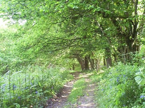 Lowertown Farm B&B Widecombe in the Moor Luaran gambar