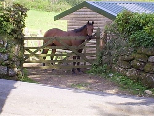 Lowertown Farm B&B Widecombe in the Moor Luaran gambar
